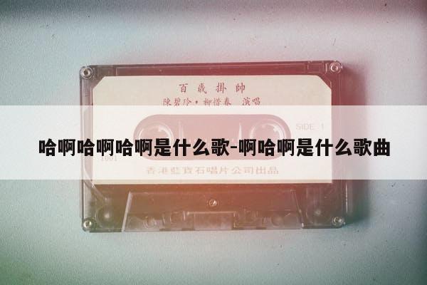 娘子啊哈是什么歌，娘子啊哈是什么歌歌词是什么意思 