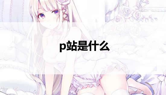 p站全称是什么网站，p站和pixiv 是一个站吗 