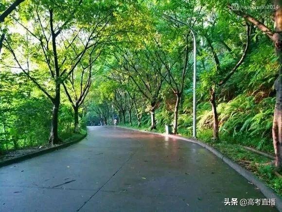 广东前10的专科院校排名（广东这18所专科院校比本科还好）(30)