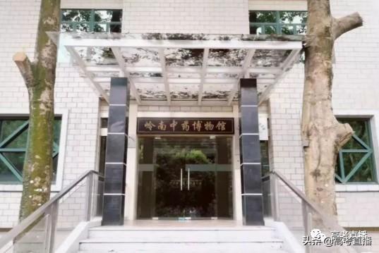 广东前10的专科院校排名（广东这18所专科院校比本科还好）(74)