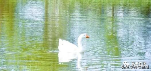 广东前10的专科院校排名（广东这18所专科院校比本科还好）(41)