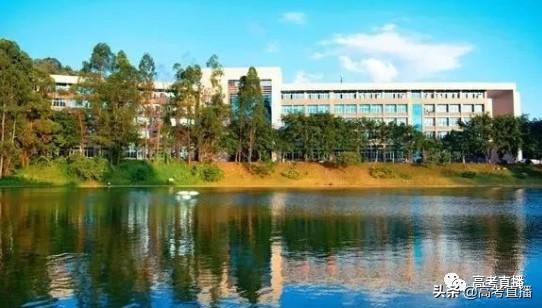 广东前10的专科院校排名（广东这18所专科院校比本科还好）(29)