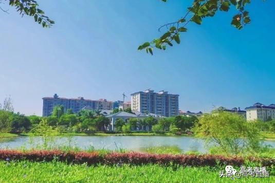 广东前10的专科院校排名（广东这18所专科院校比本科还好）(40)