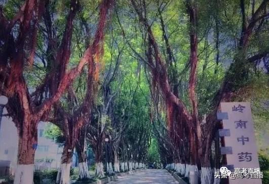 广东前10的专科院校排名（广东这18所专科院校比本科还好）(73)