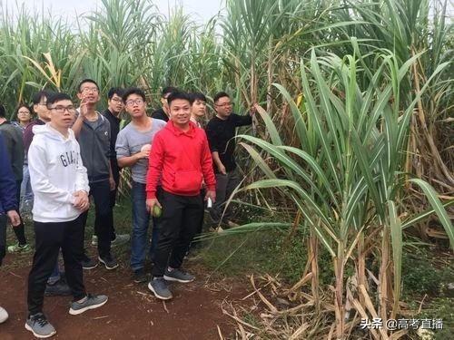 广东前10的专科院校排名（广东这18所专科院校比本科还好）(46)