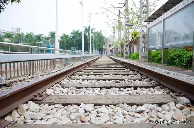 广东前10的专科院校排名（广东这18所专科院校比本科还好）(62)