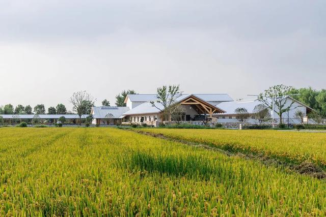 游客旅游中心效果图（8个不错的游客中心设计）(41)