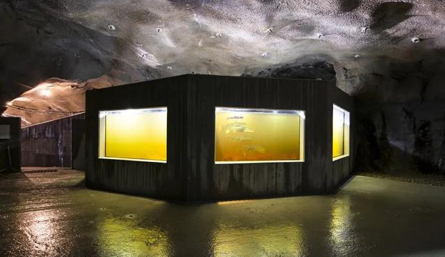 游客旅游中心效果图（8个不错的游客中心设计）(38)