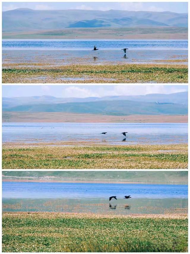 甘南旅游攻略必去景点有哪些（每个地方都是经典）(20)