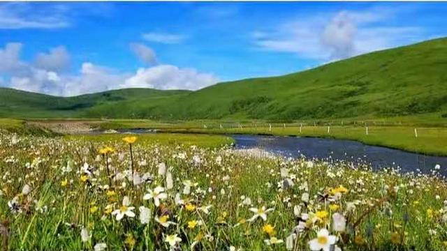 甘南旅游攻略必去景点有哪些（每个地方都是经典）(25)