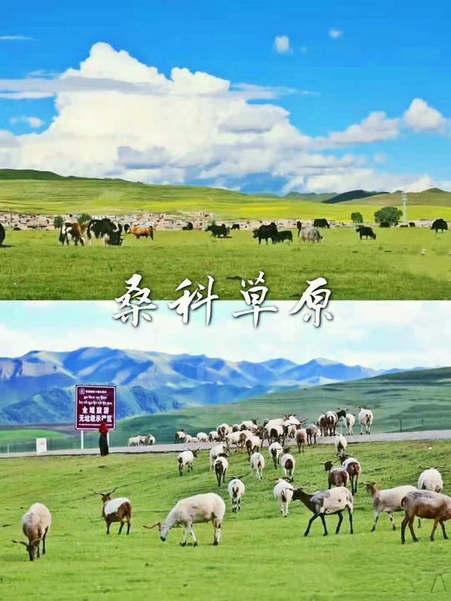 甘南旅游攻略必去景点有哪些（每个地方都是经典）(47)