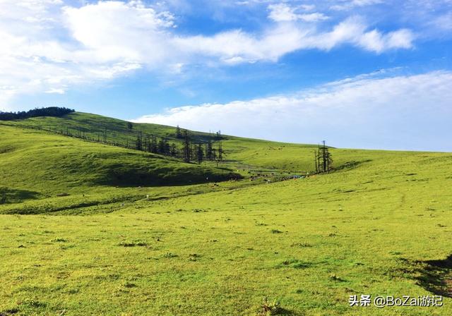 乐山攻略必去十大景点（到四川乐山市旅游不能错过的10个景点）(12)