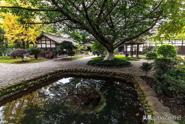 乐山攻略必去十大景点（到四川乐山市旅游不能错过的10个景点）(32)