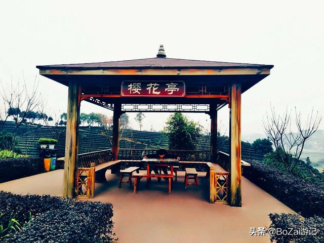 乐山攻略必去十大景点（到四川乐山市旅游不能错过的10个景点）(58)