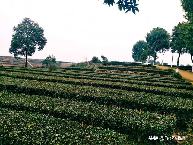 乐山攻略必去十大景点（到四川乐山市旅游不能错过的10个景点）(60)