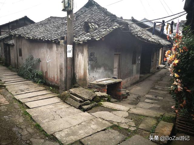乐山攻略必去十大景点（到四川乐山市旅游不能错过的10个景点）(38)