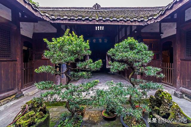 乐山攻略必去十大景点（到四川乐山市旅游不能错过的10个景点）(25)