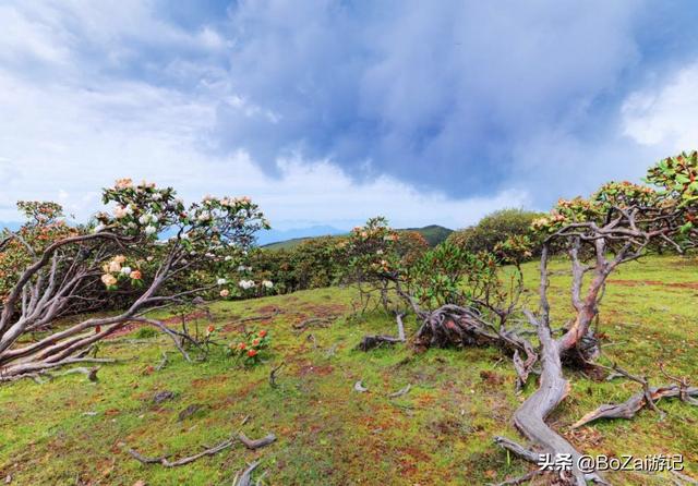 乐山攻略必去十大景点（到四川乐山市旅游不能错过的10个景点）(8)