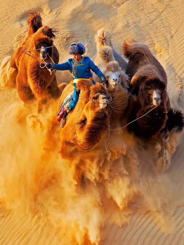 内蒙古旅游景点自驾游攻略图（内蒙古景点旅行内蒙古自驾游攻略20条经典路线推介）(30)