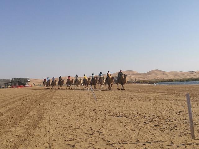 内蒙古旅游景点自驾游攻略图（内蒙古景点旅行内蒙古自驾游攻略20条经典路线推介）(26)