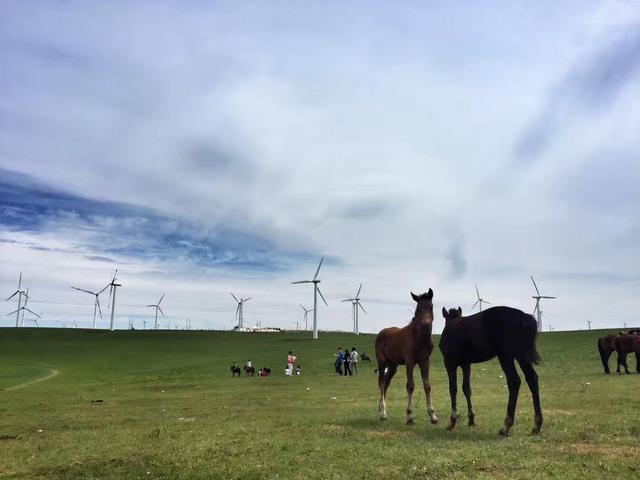 内蒙古旅游景点自驾游攻略图（内蒙古景点旅行内蒙古自驾游攻略20条经典路线推介）(9)