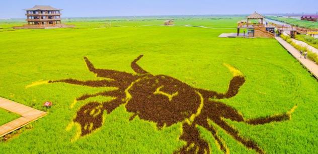 我国249家5a级旅游景区大全（一大批5a级国家旅游景区已上线）(6)