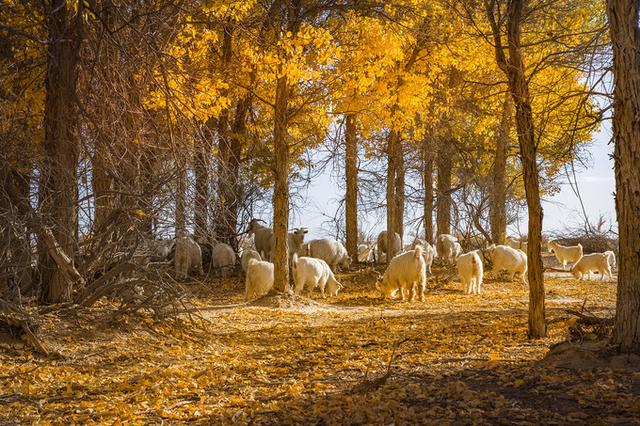 我国249家5a级旅游景区大全（一大批5a级国家旅游景区已上线）(5)