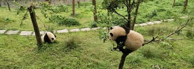 我国249家5a级旅游景区大全（一大批5a级国家旅游景区已上线）(25)