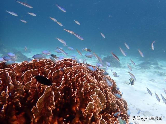 全球10个绝美海岛旅游攻略，16座美出天际的海岛(10)