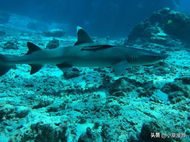 全球10个绝美海岛旅游攻略，16座美出天际的海岛(12)