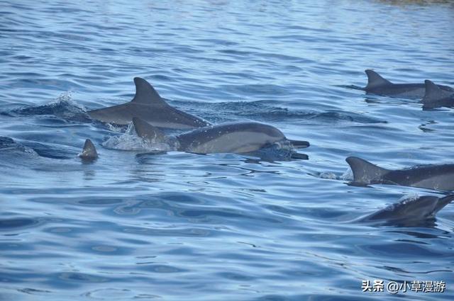 全球10个绝美海岛旅游攻略，16座美出天际的海岛(19)