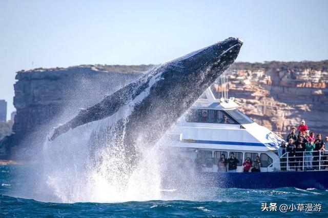 全球10个绝美海岛旅游攻略，16座美出天际的海岛(16)