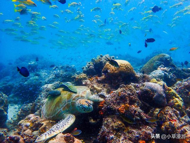 全球10个绝美海岛旅游攻略，16座美出天际的海岛(24)