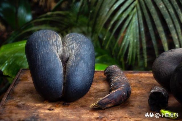 全球10个绝美海岛旅游攻略，16座美出天际的海岛(30)