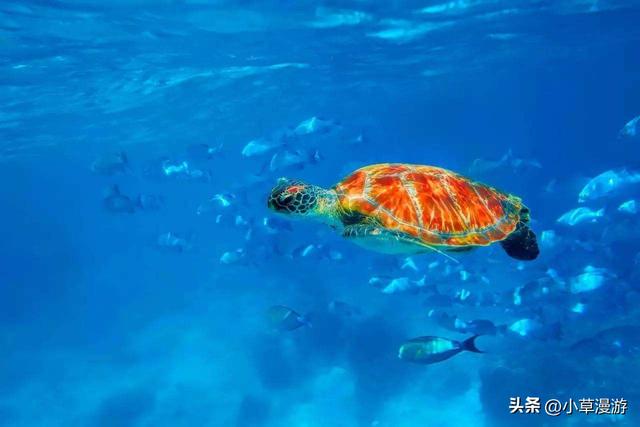 全球10个绝美海岛旅游攻略，16座美出天际的海岛(39)