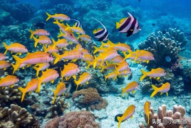 全球10个绝美海岛旅游攻略，16座美出天际的海岛(37)