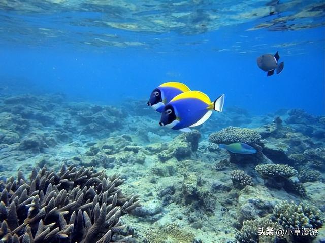 全球10个绝美海岛旅游攻略，16座美出天际的海岛(7)