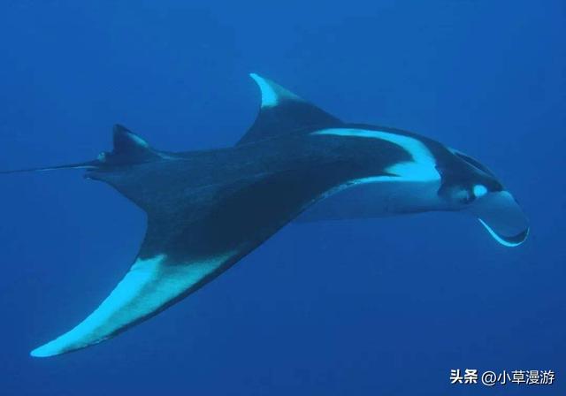 全球10个绝美海岛旅游攻略，16座美出天际的海岛(40)