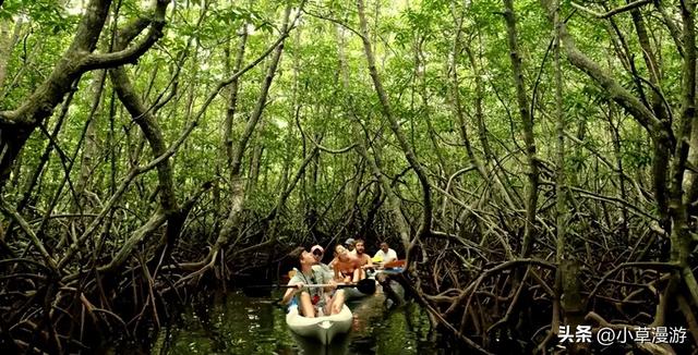 全球10个绝美海岛旅游攻略，16座美出天际的海岛(21)