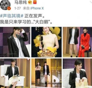 ​马思纯为什么叫大白鹅