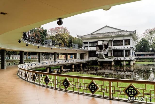 广州自助游攻略推荐（单身狗要的一人游广州攻略来了）(13)