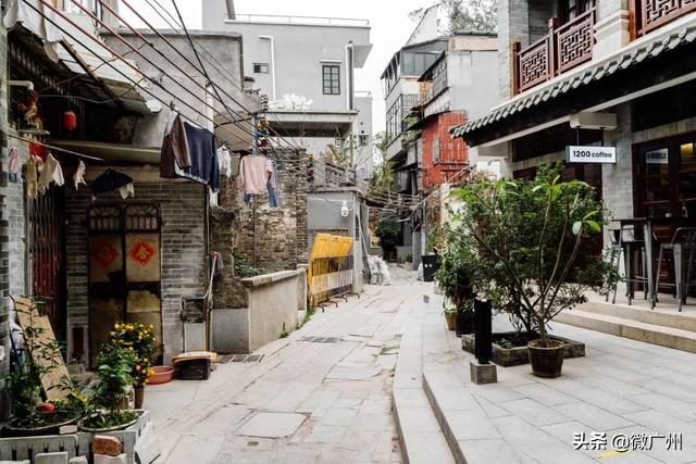 广州自助游攻略推荐（单身狗要的一人游广州攻略来了）(38)