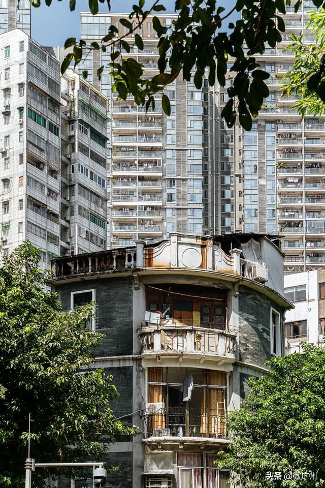 广州自助游攻略推荐（单身狗要的一人游广州攻略来了）(16)