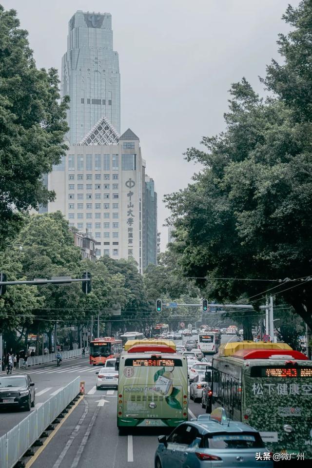广州自助游攻略推荐（单身狗要的一人游广州攻略来了）(45)