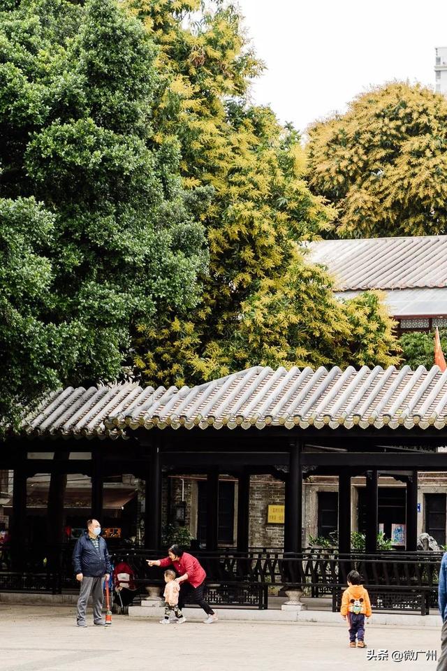 广州自助游攻略推荐（单身狗要的一人游广州攻略来了）(11)