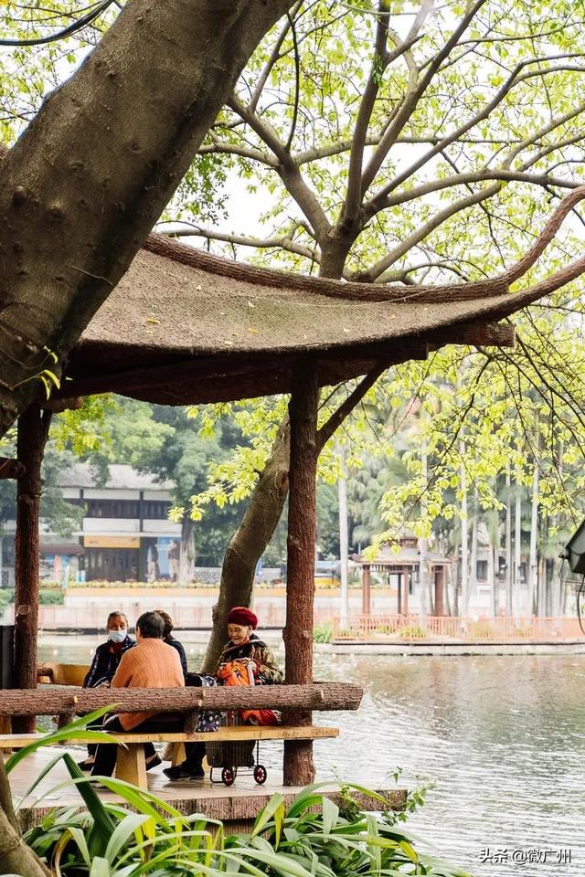 广州自助游攻略推荐（单身狗要的一人游广州攻略来了）(10)