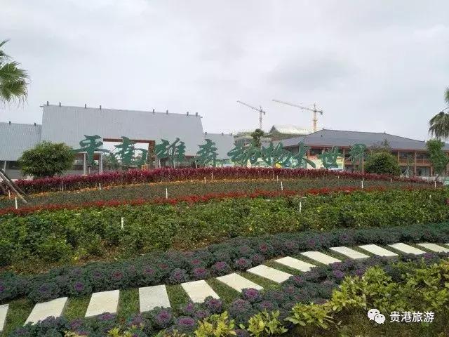 贵港旅游景点介绍大全集（贵港这些旅游胜地你都去过了吗）(42)