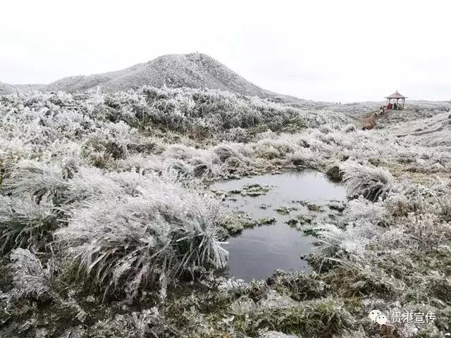 贵港旅游景点介绍大全集（贵港这些旅游胜地你都去过了吗）(15)
