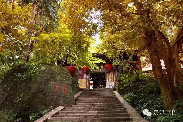 贵港旅游景点介绍大全集（贵港这些旅游胜地你都去过了吗）(31)