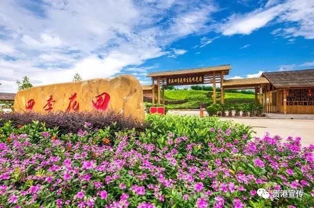 贵港旅游景点介绍大全集（贵港这些旅游胜地你都去过了吗）(16)